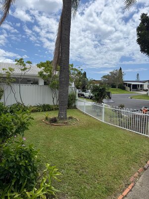 Garden Clean-Ups