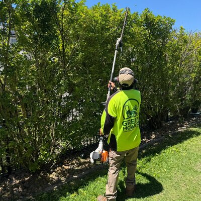Hedge Trimming